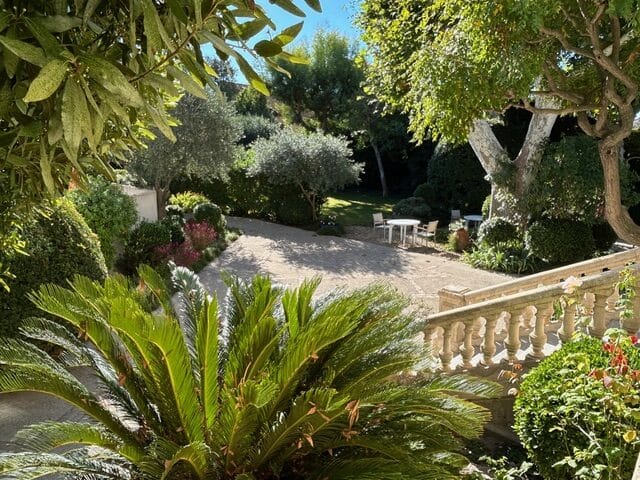 Aménagement Jardin Méditerranéen avec Terrasse et Oliviers Jardin méditerranéen ensoleillé avec balustrade en pierre, cycas au premier plan, oliviers et salon de terrasse.