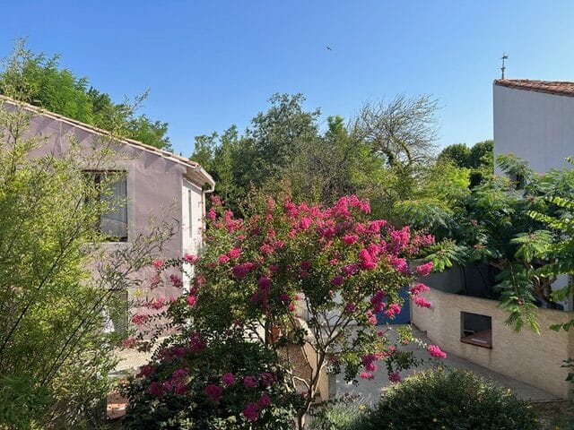 Lagerstroemia rose devant une maison provençale Lagerstroemia en fleurs roses devant une maison provençale sous un ciel bleu d'été.