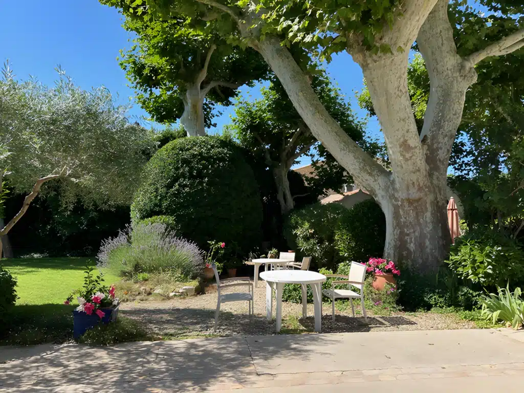 Aménagement d'un jardin avec terrasse et mobilier blanc Terrasse ensoleillée avec tables blanches sous de grands platanes, entourée d'un jardin fleuri et d'une pelouse verte.